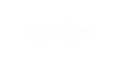 bitget bitget